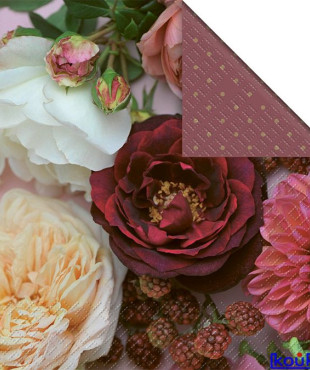 ΧΑΡΤΟΠΕΤΣΕΤΕΣ